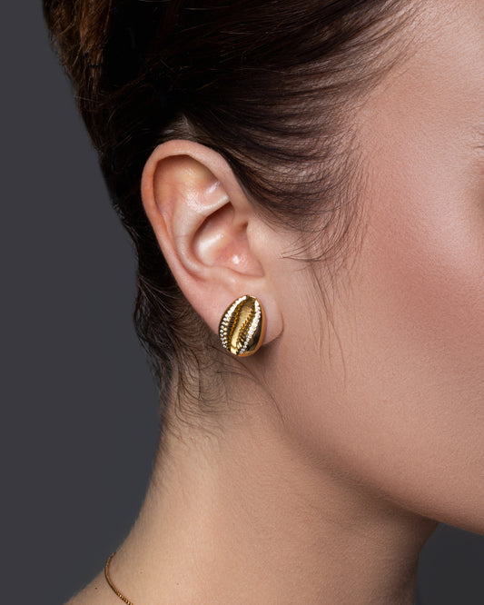 Golden Cowry Studs Earring
