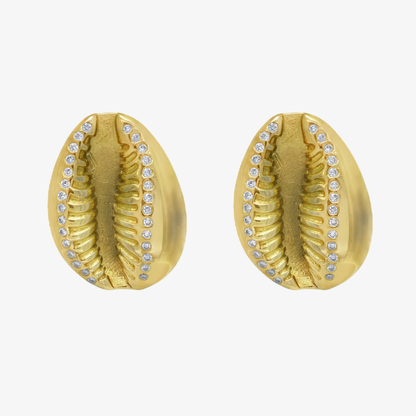 Golden Cowry Studs Earring