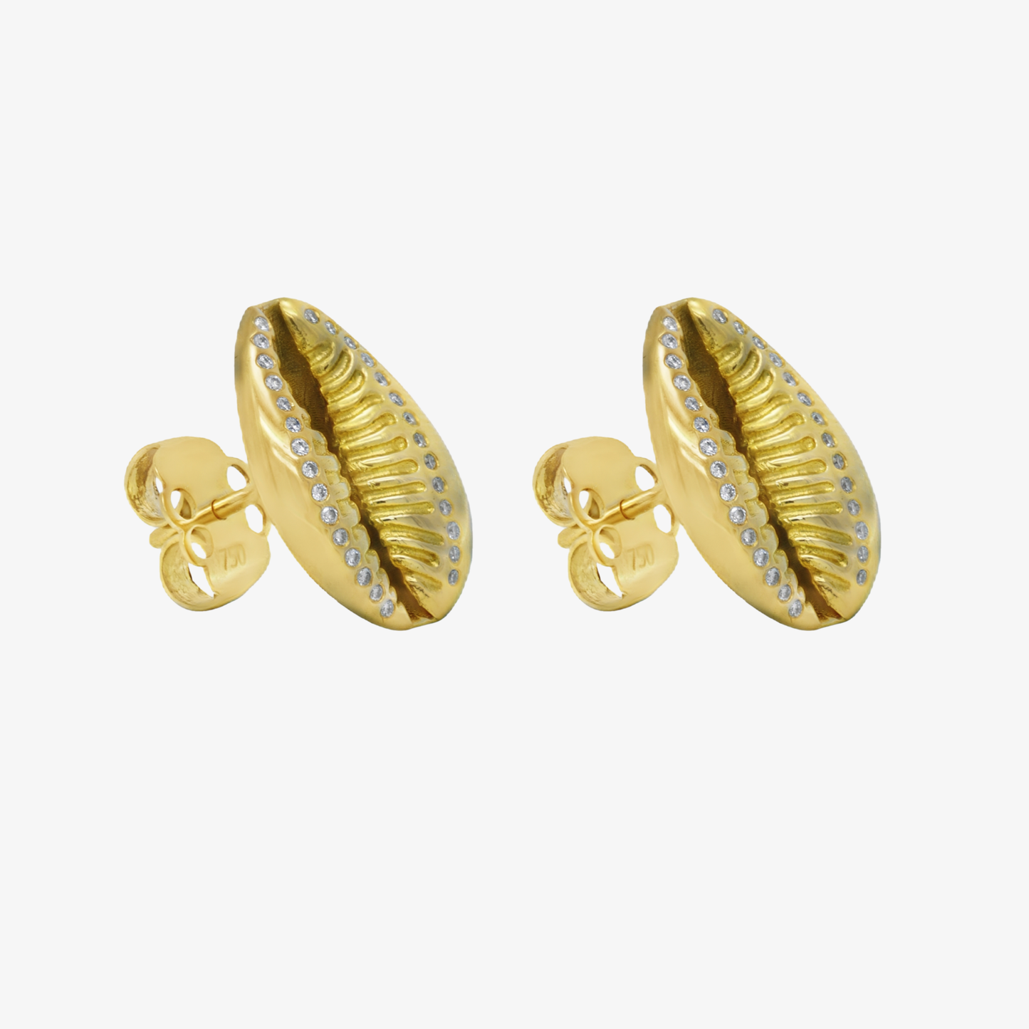 Golden Cowry Studs Earring