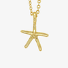 قلادة نجمية المحيط